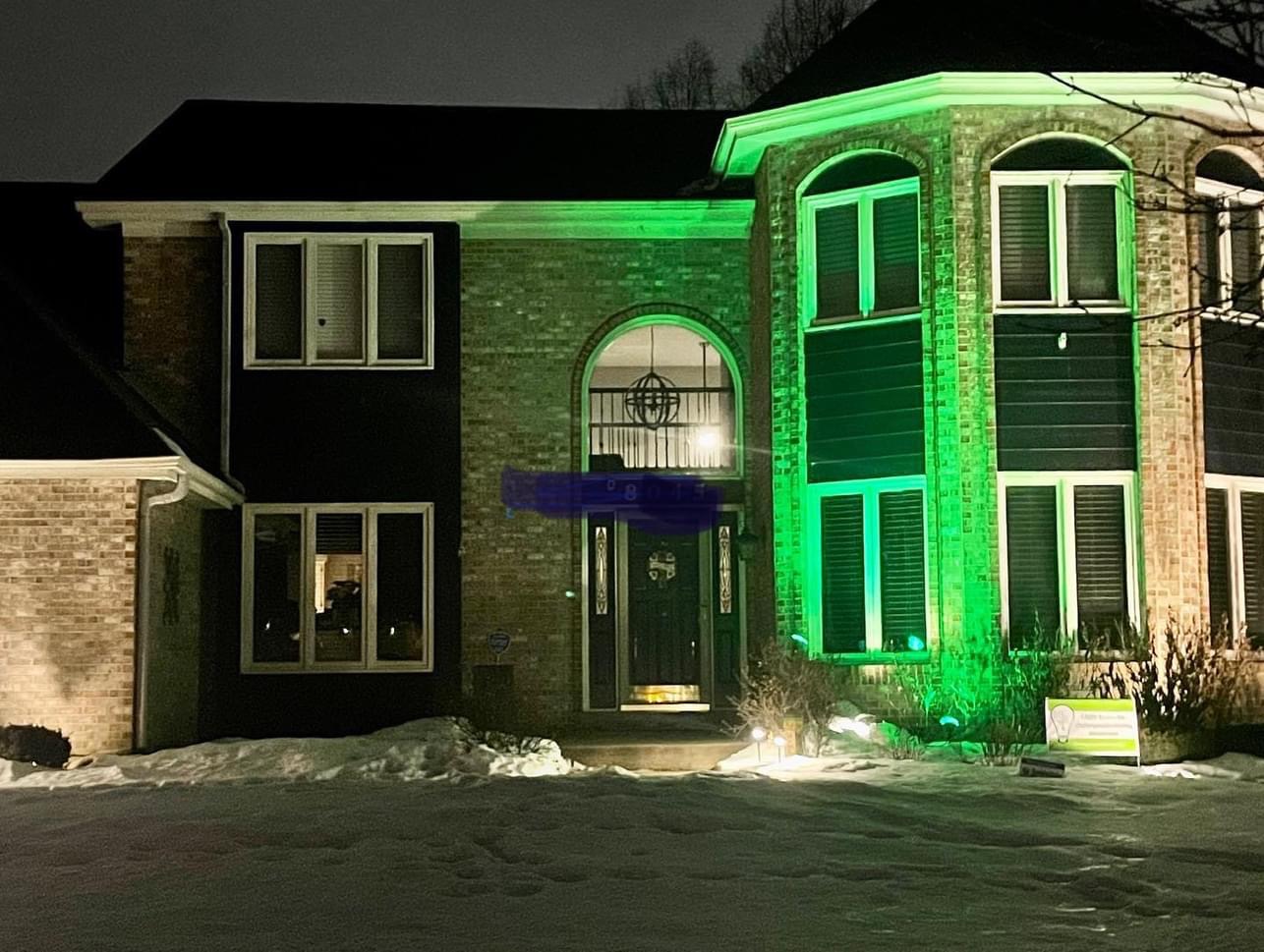Upload your "Light It Green" photo