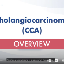 cca-overview
