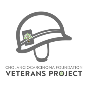 veterans-project