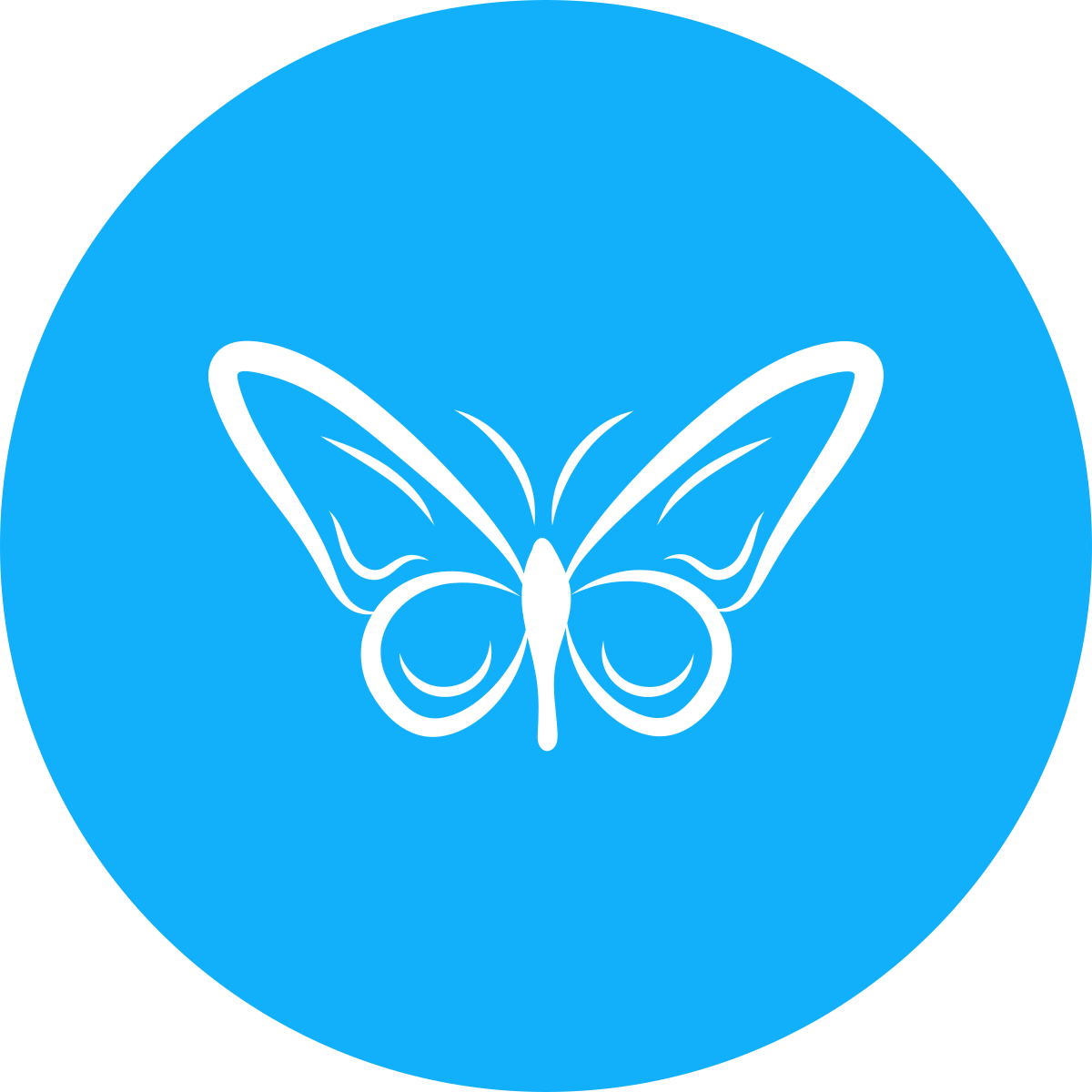 noun-butterfly-shape-2255350-FFFFFF